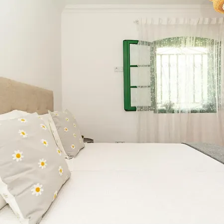 Oceanic Breeze Share Pool By Pvl Appartement